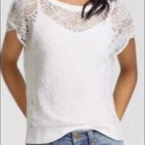 CAbi Daisy Lace Top